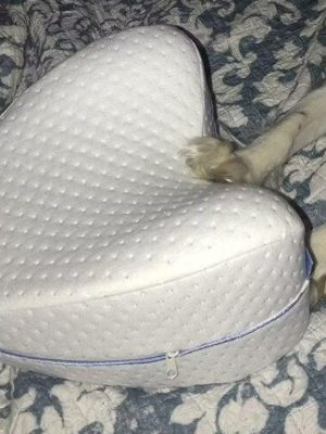 Knee Pillow - Single